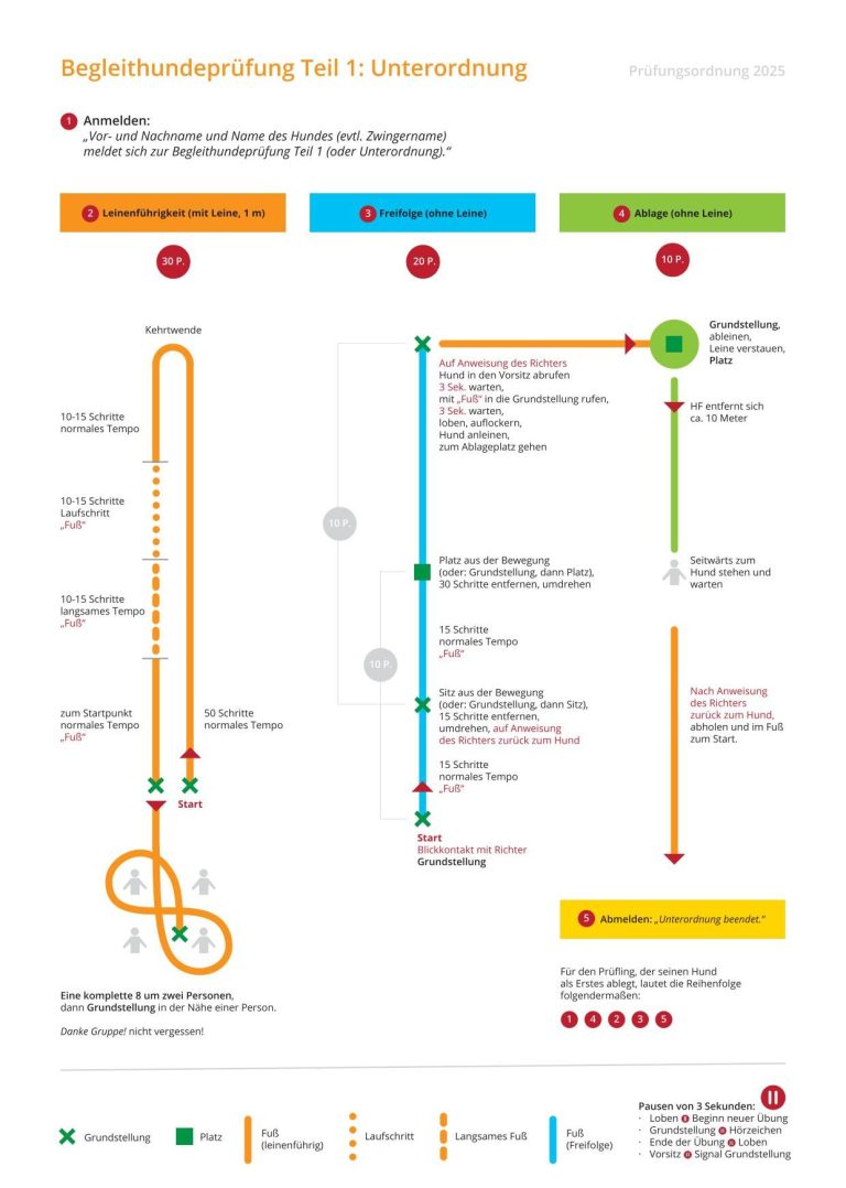 Laufschema Begleithundprüfung